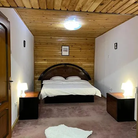 Bsg Villa - Sinaia Extérieur photo