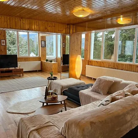 Bsg Villa - Sinaia Extérieur photo