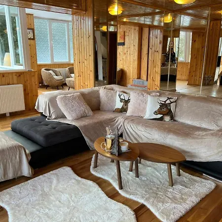 Bsg Villa - Sinaia Extérieur photo