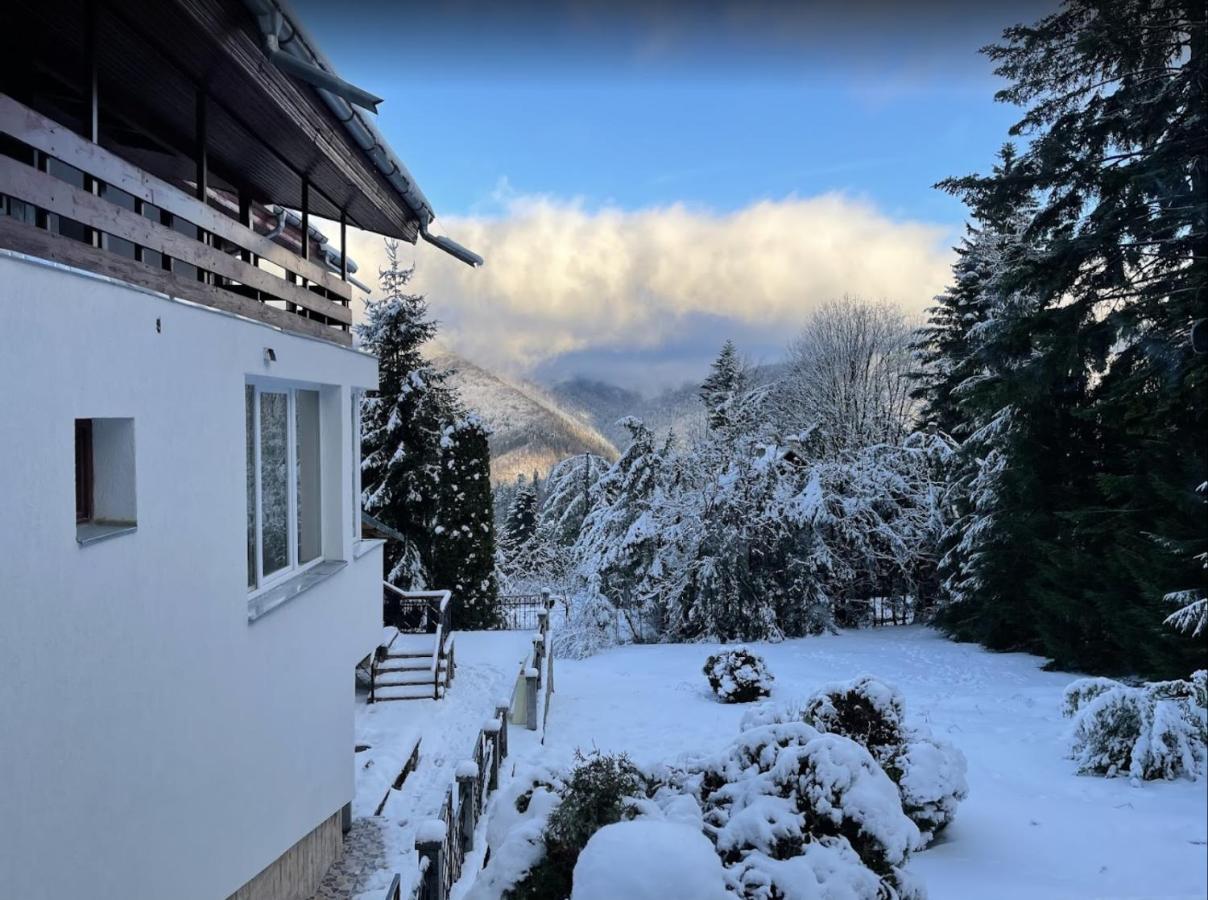 Villa Bsg -